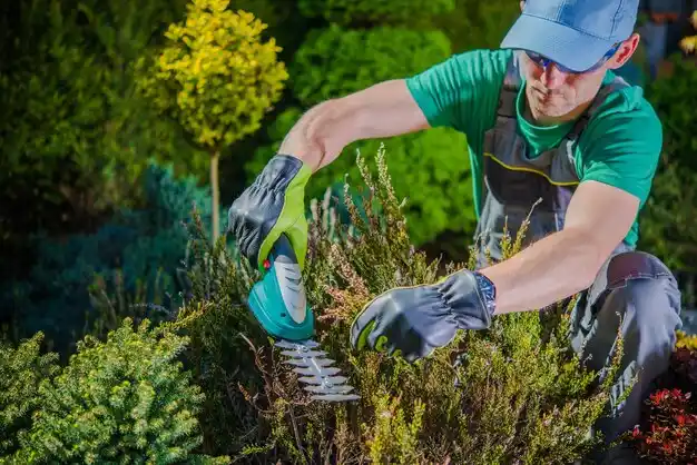 landscaping services York
